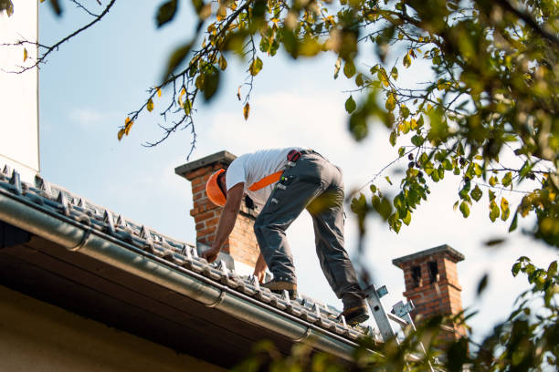 Best Roof Maintenance Services  in Warrensville Heights, OH